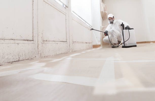 Black mold remediation team in Augusta